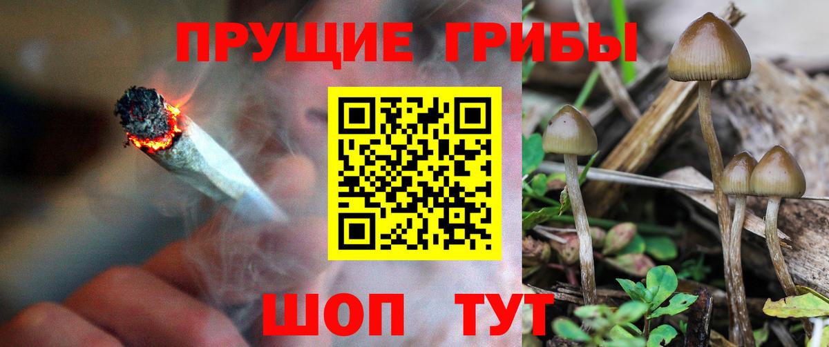 Галлюциногенные грибы мухоморы  Вход с VPN  Котовск 