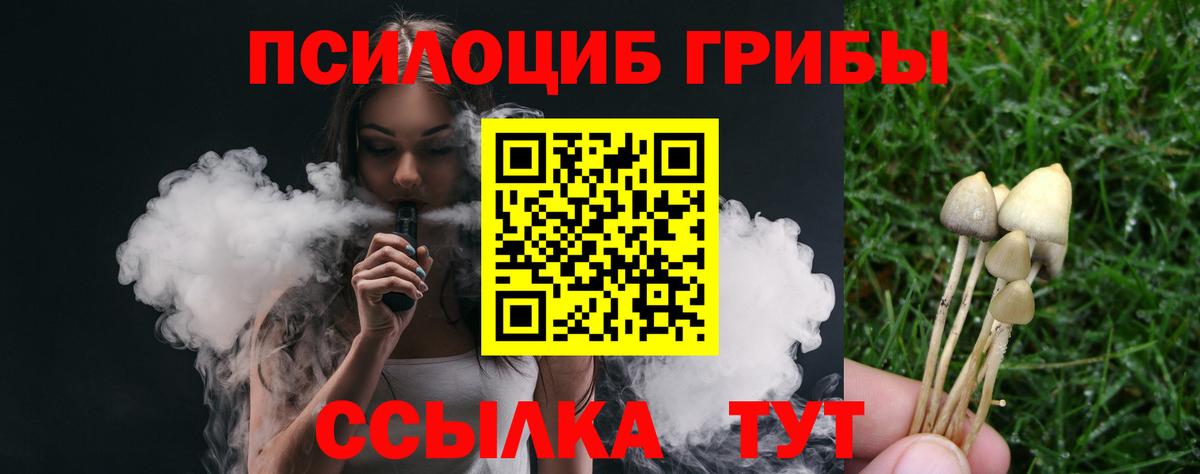 Псилоцибиновые грибы мицелий Котовск