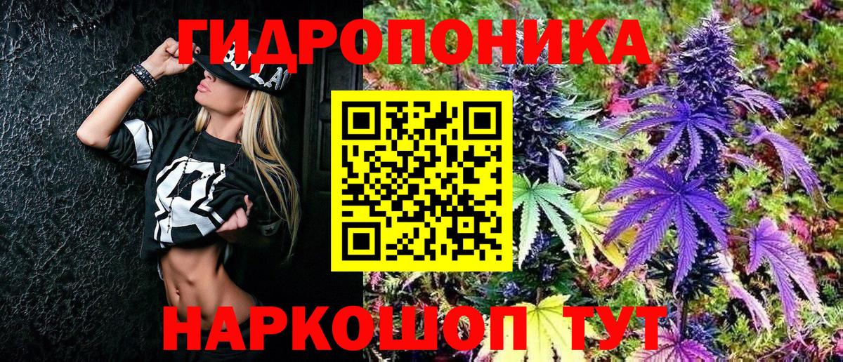 Конопля семена Котовск
